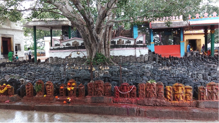 Naga idols at Naga Devatha Temple vidurashwatha temple