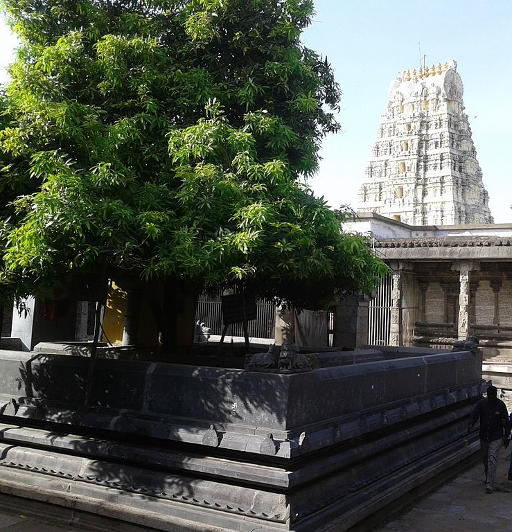 Shri Ekambareswarar Temple - famous Kanchipuram temples