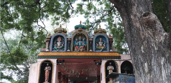 Vidurashwatha Temple – Naga Devatha temple – Gauribidanur – Karnataka